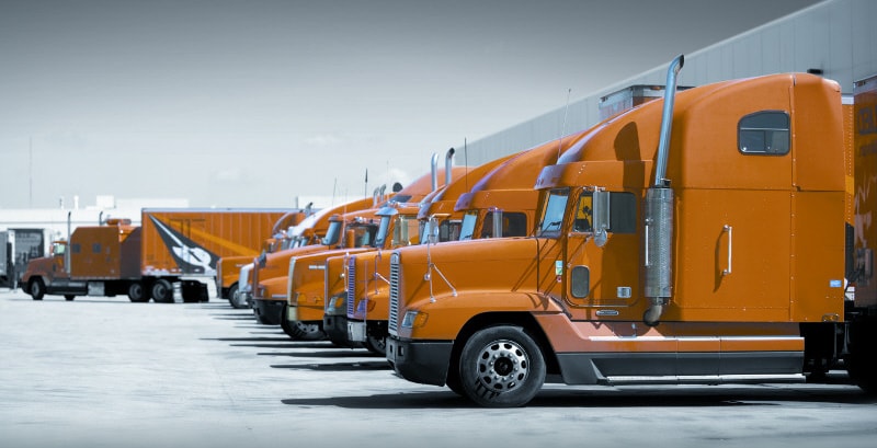 Bayshore allied moving truck fleet